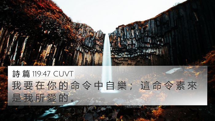 詩 篇 119:47 CUVT Bible Verse Image