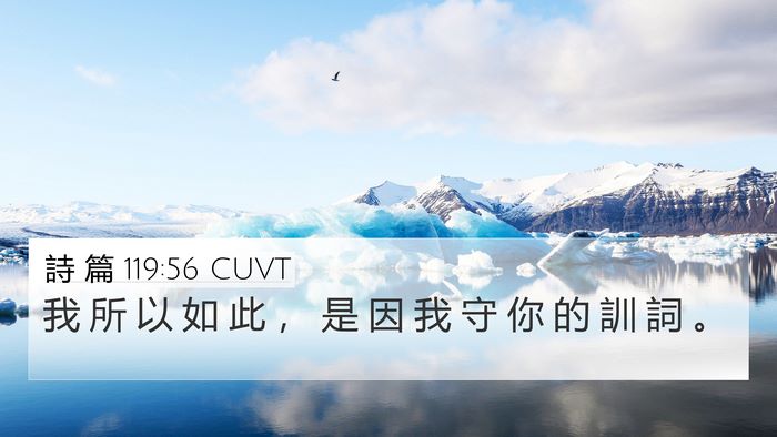 詩 篇 119:56 CUVT 4K Wallpaper - 我 所 以 如 此 ， 是 因 我 守 你 的 - 4K Wallpaper Bible Verse