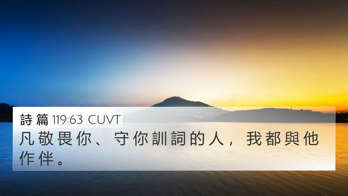 詩 篇 119:63 CUVT Bible Verse Image