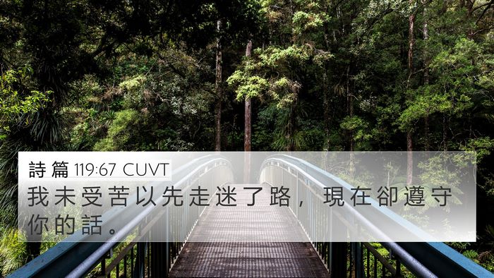 詩 篇 119:67 CUVT Bible Verse Image