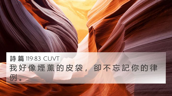 詩 篇 119:83 CUVT Bible Verse Image