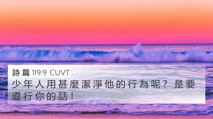 詩 篇 119:9 CUVT Bible Verse Image