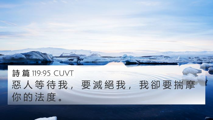 詩 篇 119:95 CUVT Bible Verse Image