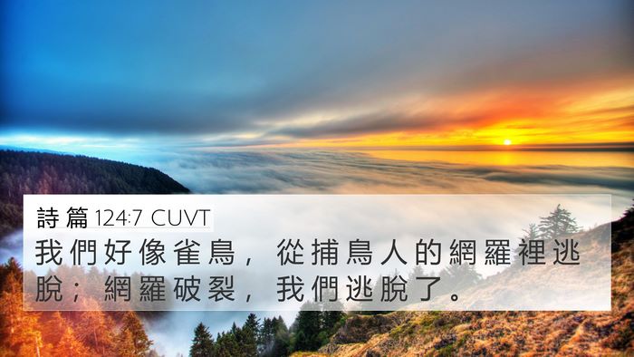 詩 篇 124:7 CUVT Bible Verse Image