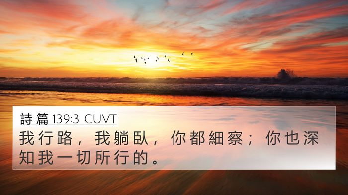 詩 篇 139:3 CUVT Bible Verse Image
