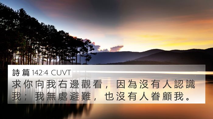 詩 篇 142:4 CUVT Bible Verse Image
