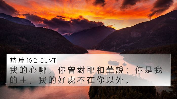 詩 篇 16:2 CUVT Bible Verse Image