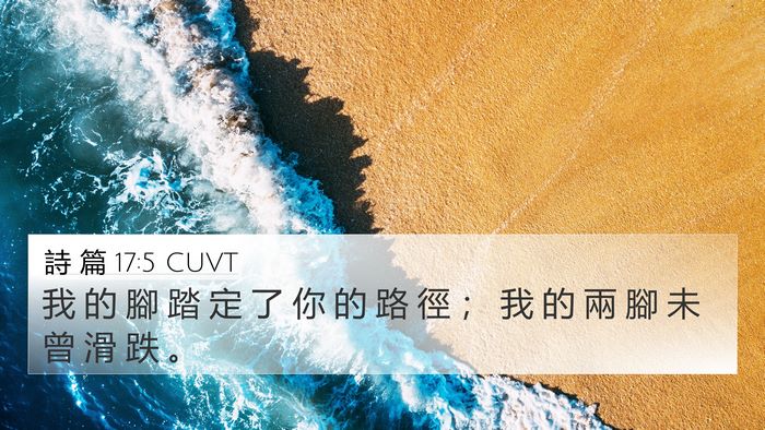 詩 篇 17:5 CUVT Bible Verse Image