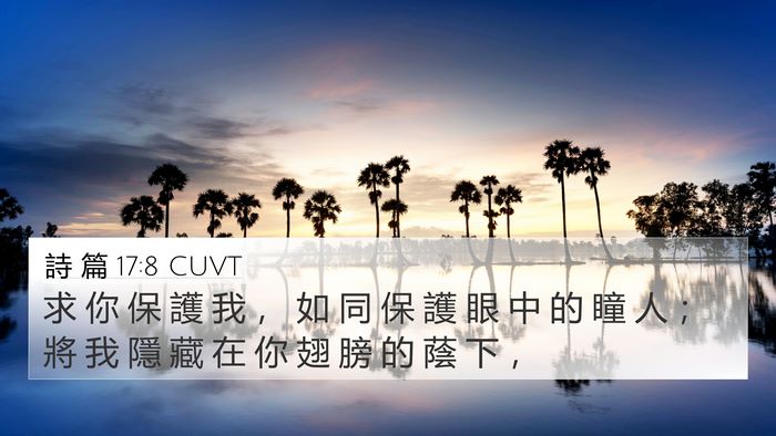 詩 篇 17:8 CUVT Bible Verse Image