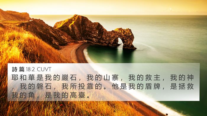 詩 篇 18:2 CUVT Bible Verse Image