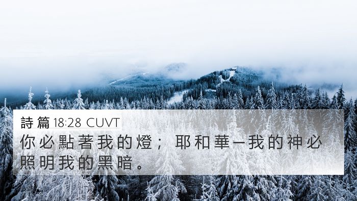 詩 篇 18:28 CUVT Bible Verse Image