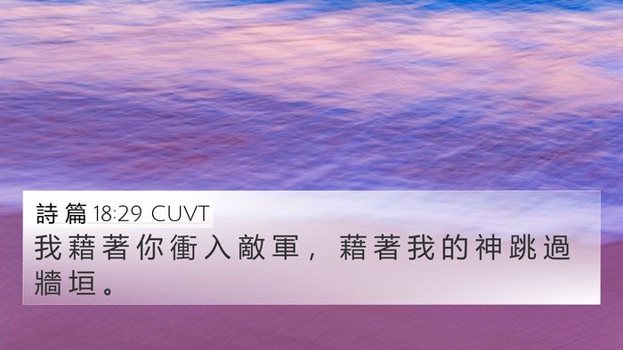 詩 篇 18:29 CUVT Bible Verse Image