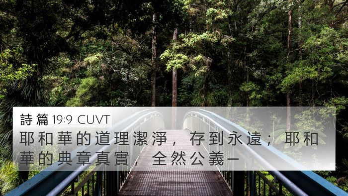 詩 篇 19:9 CUVT Bible Verse Image