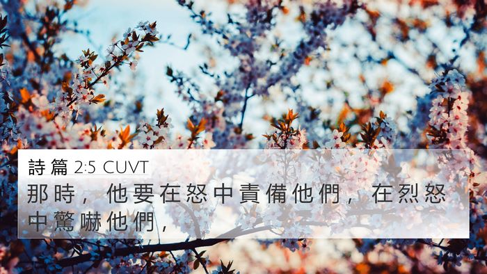 詩 篇 2:5 CUVT Bible Verse Image
