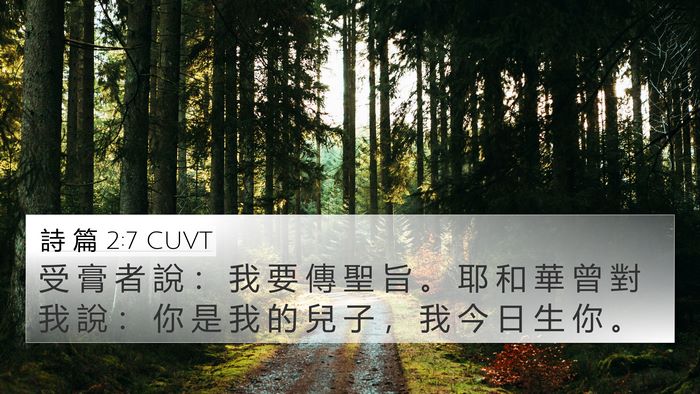 詩 篇 2:7 CUVT Bible Verse Image