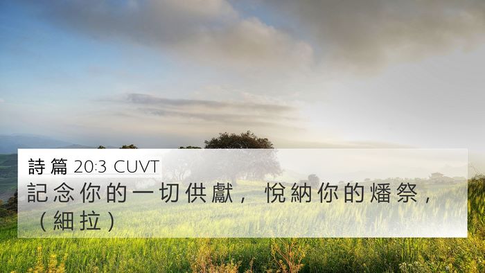 詩 篇 20:3 CUVT Bible Verse Image