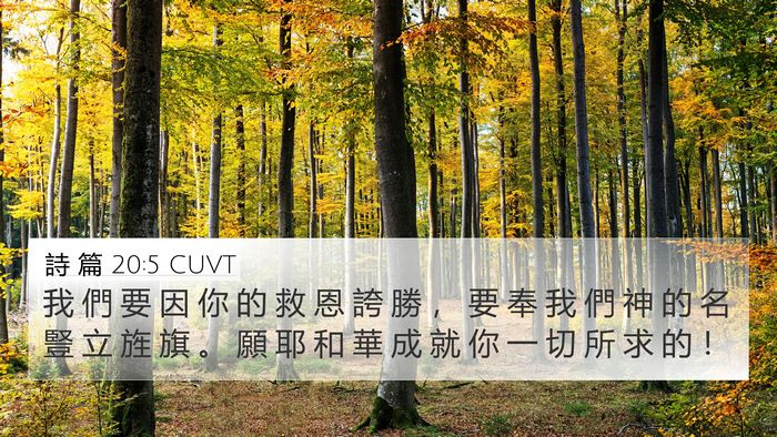 詩 篇 20:5 CUVT Bible Verse Image