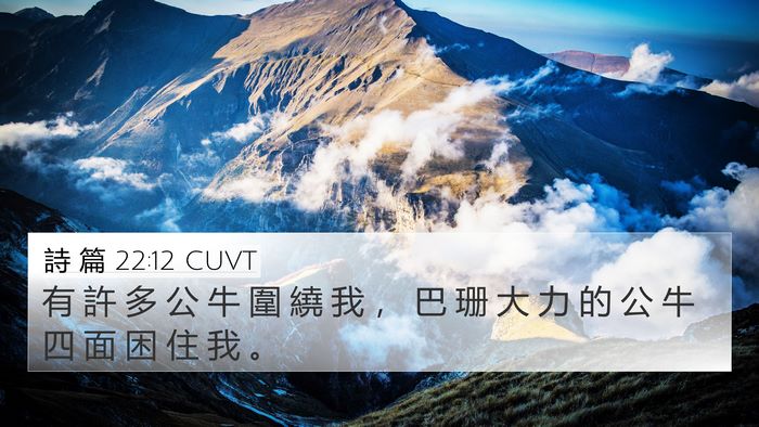 詩 篇 22:12 CUVT Bible Verse Image