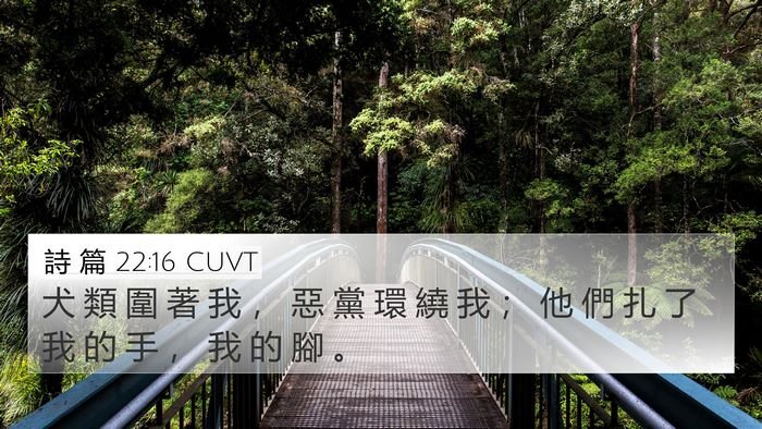 詩 篇 22:16 CUVT Bible Verse Image