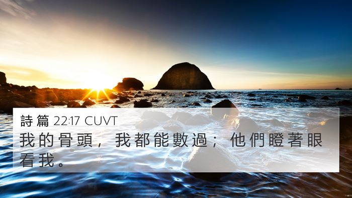 詩 篇 22:17 CUVT Bible Verse Image
