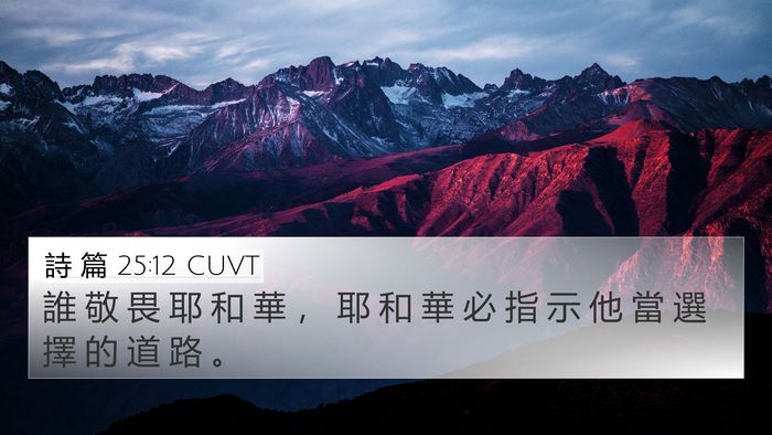 詩 篇 25:12 CUVT Bible Verse Image
