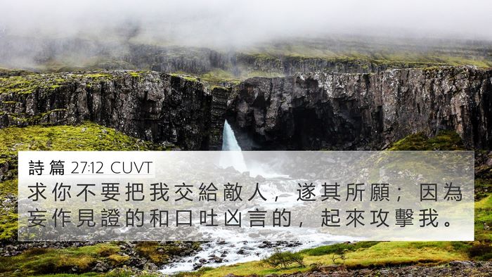 詩 篇 27:12 CUVT Bible Verse Image