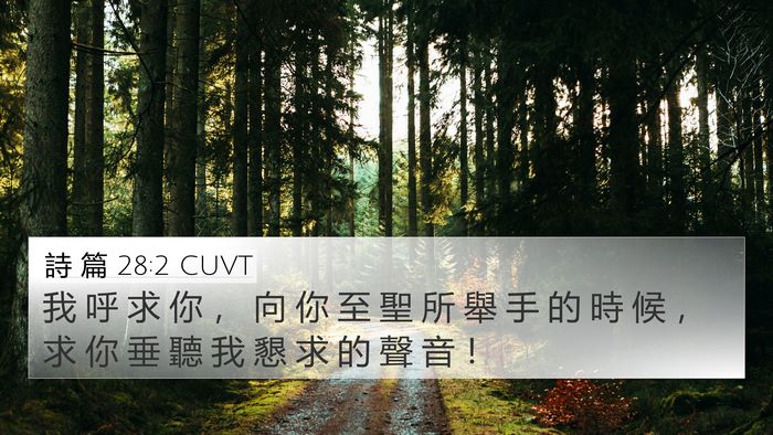 詩 篇 28:2 CUVT Bible Verse Image