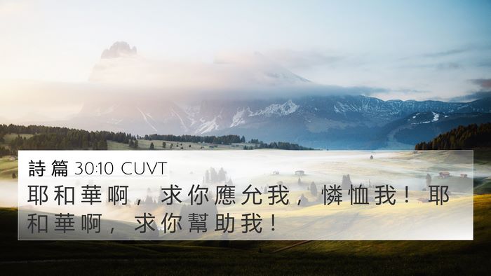 詩 篇 30:10 CUVT 4K Wallpaper - 耶 和 華 啊 ， 求 你 應 允 我 ， 憐 - 4K Wallpaper Bible Verse