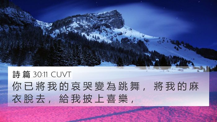 詩 篇 30:11 CUVT Bible Verse Image