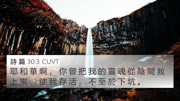 詩 篇 30:3 CUVT Bible Verse Image