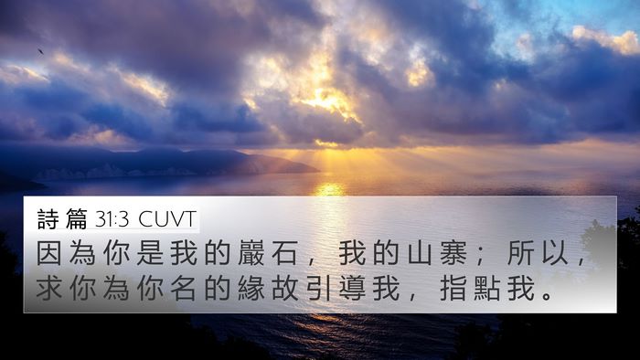 詩 篇 31:3 CUVT Bible Verse Image