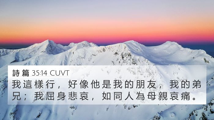 詩 篇 35:14 CUVT Bible Verse Image