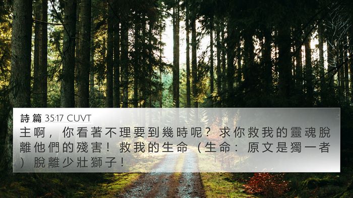 詩 篇 35:17 CUVT Bible Verse Image