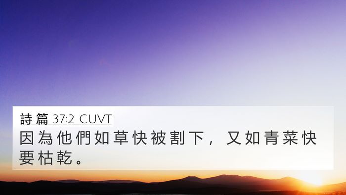 詩 篇 37:2 CUVT Bible Verse Image