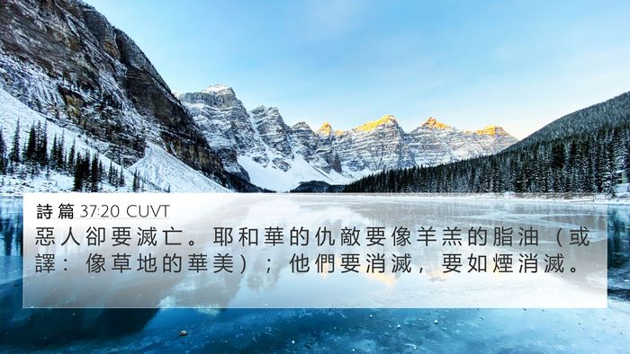 詩 篇 37:20 CUVT Bible Verse Image