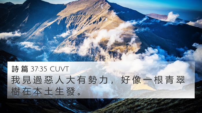 詩 篇 37:35 CUVT Bible Verse Image