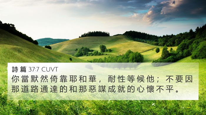 詩 篇 37:7 CUVT Bible Verse Image