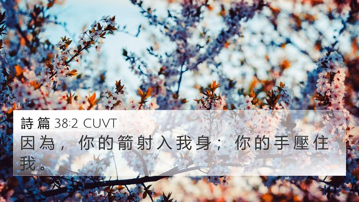 詩 篇 38:2 CUVT Bible Verse Image