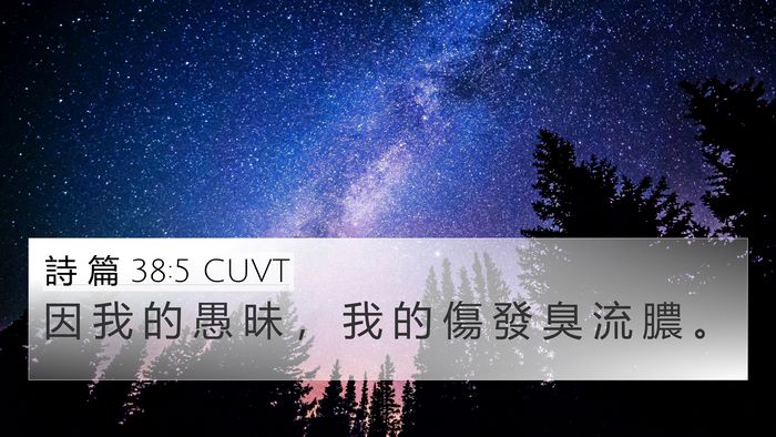 詩 篇 38:5 CUVT 4K Wallpaper - 因 我 的 愚 昧 ， 我 的 傷 發 臭 流 - 4K Wallpaper Bible Verse