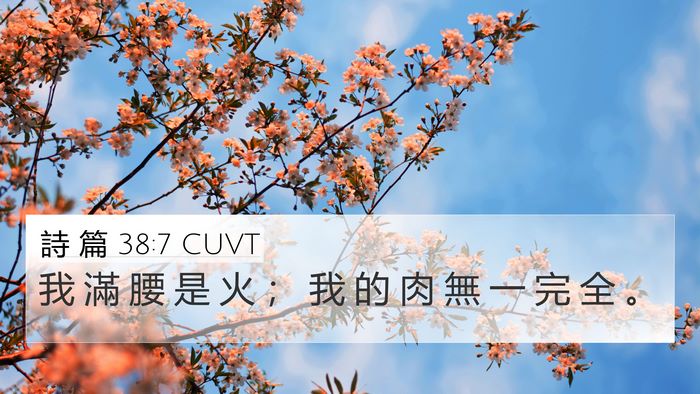 詩 篇 38:7 CUVT 4K Wallpaper - 我 滿 腰 是 火 ； 我 的 肉 無 一 完 - 4K Wallpaper Bible Verse