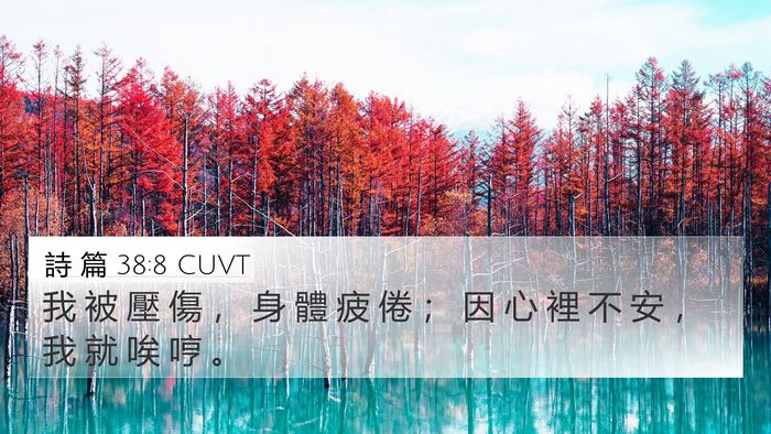 詩 篇 38:8 CUVT Bible Verse Image