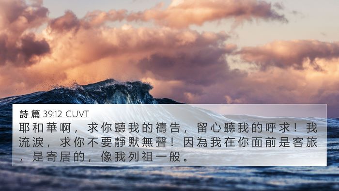詩 篇 39:12 CUVT Bible Verse Image