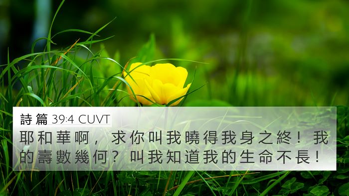 詩 篇 39:4 CUVT Bible Verse Image
