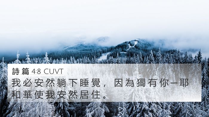 詩 篇 4:8 CUVT Bible Verse Image