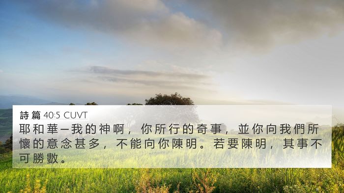詩 篇 40:5 CUVT Bible Verse Image