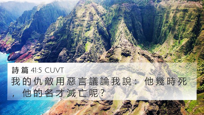 詩 篇 41:5 CUVT 4K Wallpaper - 我 的 仇 敵 用 惡 言 議 論 我 說 ： - 4K Wallpaper Bible Verse