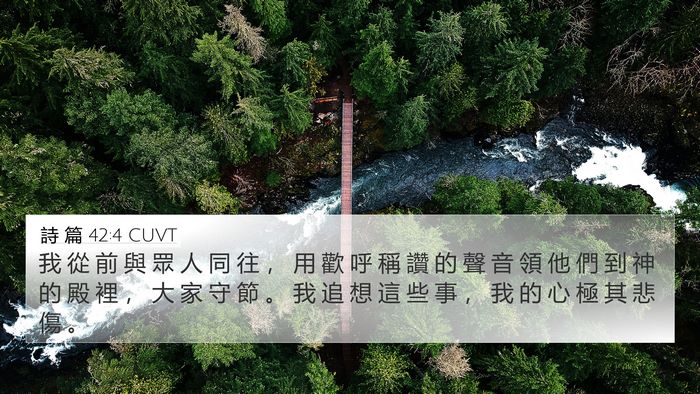 詩 篇 42:4 CUVT Bible Verse Image