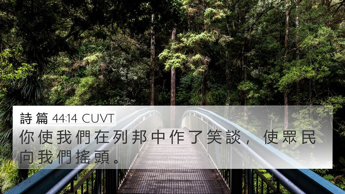 詩 篇 44:14 CUVT Bible Verse Image