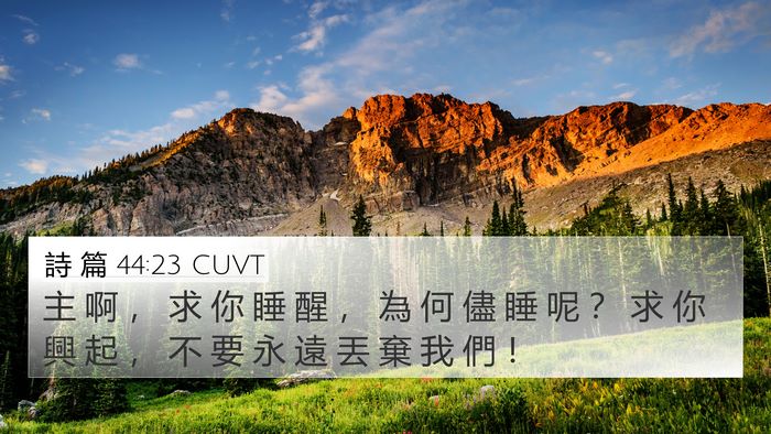 詩 篇 44:23 CUVT Bible Verse Image