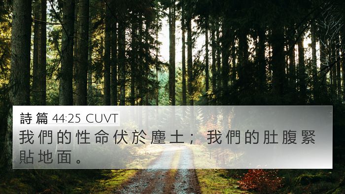 詩 篇 44:25 CUVT Bible Verse Image